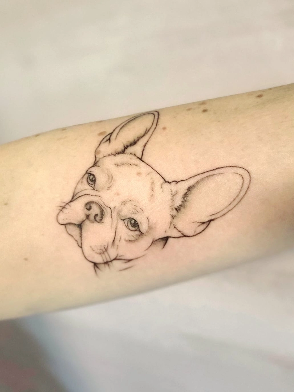 A Fleur de Peau - Professionelles Tattoo Studio - Tätowierung am Arm einer Person